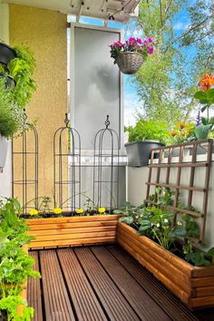 Balkon bahçesi örneği 3